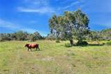 46891 Farabee Road - Photo 16