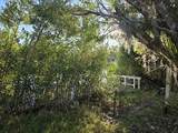 18909 Aripeka Road - Photo 5
