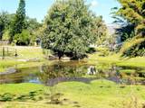 5245 Kapok Drive - Photo 36