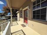 5245 Kapok Drive - Photo 4
