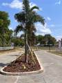 37094 Hidden View Circle - Photo 16
