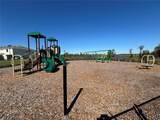17481 Spanish Oak Loop - Photo 40
