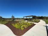 17481 Spanish Oak Loop - Photo 41