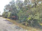 9999 Snowball Point - Photo 17