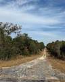 Lot 26 133RD Avenue - Photo 3