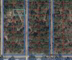 Lot 26 133RD Avenue - Photo 8
