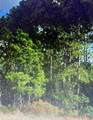  Sw 194 St, Archer,Fl 32618 - O4462-011-000 - Photo 1