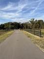 14950 Mim Place - Photo 4