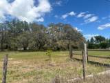 29707 Cooper Road - Photo 4
