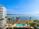 2401 Bayshore Boulevard - Photo 66