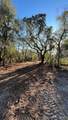  Hagar Drive - Photo 2