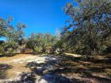 33039 Round Table Road - Photo 2