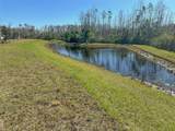 17216 Mango Shay Court - Photo 45