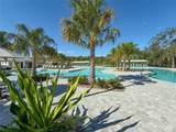 17216 Mango Shay Court - Photo 77