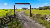 17165 Lake Iola Road - Photo 8