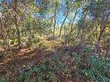  Berryhill Drive - Photo 10