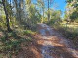  Berryhill Drive - Photo 12
