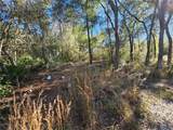  Berryhill Drive - Photo 14