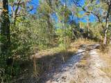  Berryhill Drive - Photo 4