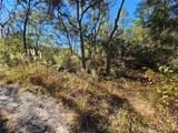  Berryhill Drive - Photo 5