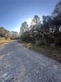 3908 Tropic Lane - Photo 3