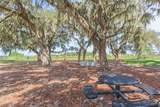 31088 Jazz Leaf Place - Photo 68