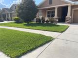 12012 Whistling Wind Drive - Photo 3