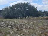 34794 Orchid Parkway - Photo 3