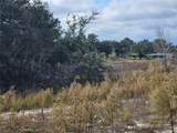 34794 Orchid Parkway - Photo 5