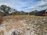 34794 Orchid Parkway - Photo 7