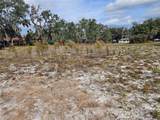 34794 Orchid Parkway - Photo 8