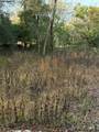 9411 Kissimmee Street - Photo 2