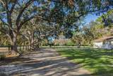 8132 Honeybee Lane - Photo 13