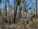  Fox Run Trail - Photo 1