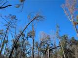  Fox Run Trail - Photo 7