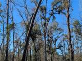  Fox Run Trail - Photo 8