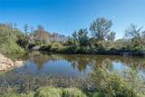 4302 Carrollwood Village Drive - Photo 88