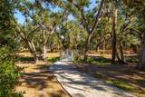 4119 Via Sienna Circle - Photo 34