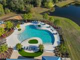 10506 Cardera Drive - Photo 74