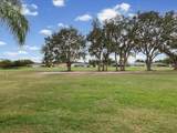29146 Princeville Drive - Photo 33