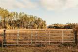 0 Dormany Road - Photo 1