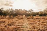 0 Dormany Road - Photo 4