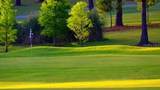 2137 Malcolm Drive - Photo 36