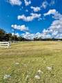  Singletary Road - Photo 4