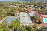 1 Plumbago Drive - Photo 64