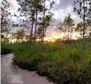  River Ranch Blvd - Photo 4