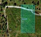  River Ranch Blvd - Photo 5