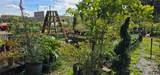 9906 Gunn Highway - Photo 47