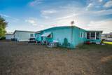 3318 Carnation Lane - Photo 39