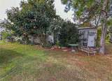 34543 Rosebud Row - Photo 41